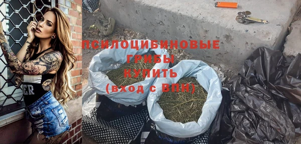 крисы Козловка
