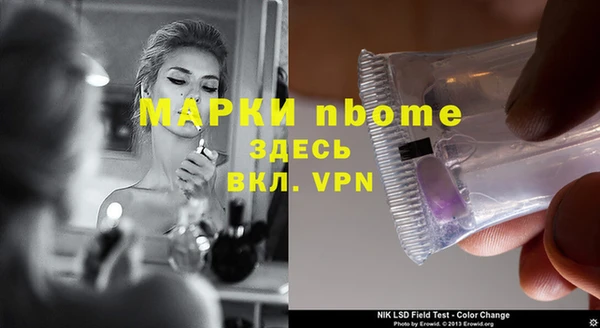 крисы Козловка