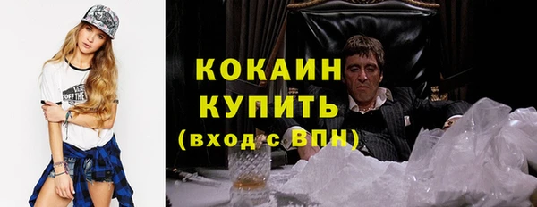 крисы Козловка