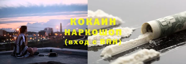 стафф Кодинск