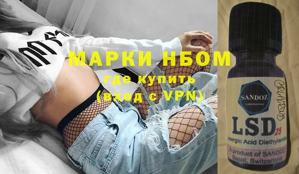 стафф Кодинск