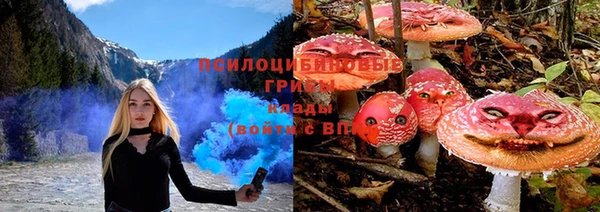 крисы Козловка