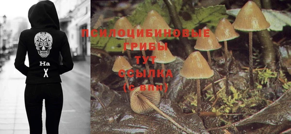 ешки Калининец