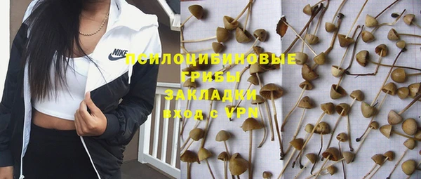 крисы Козловка