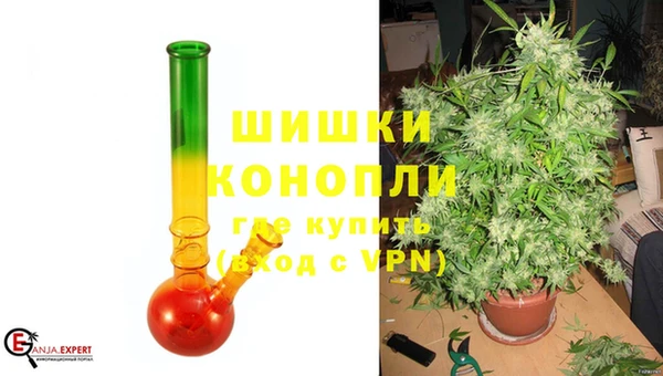 стафф Кодинск
