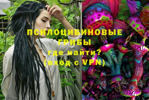 ешки Козельск