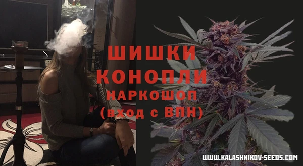 крисы Козловка